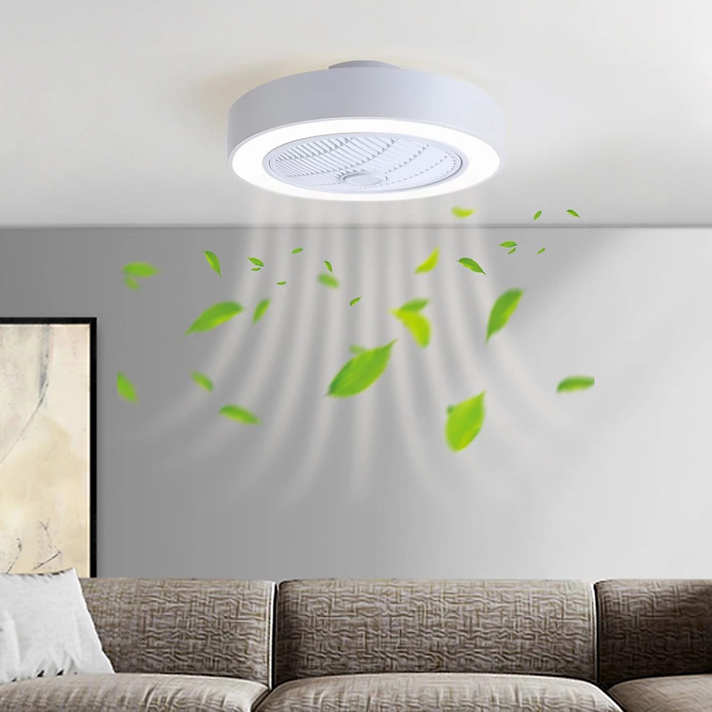 Ceiling fans