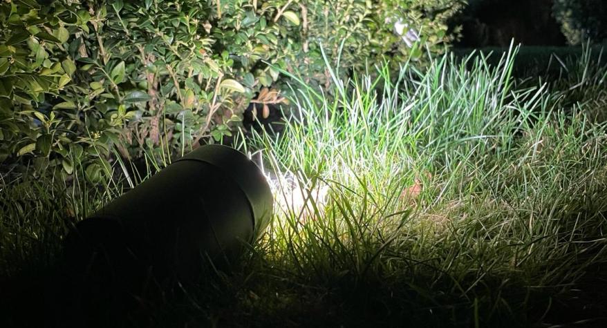 Decorative Garden Lighting
