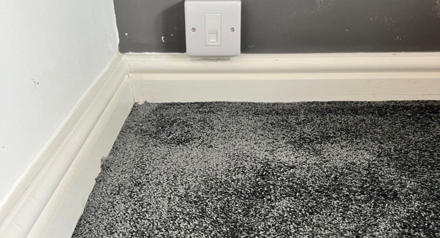 Ethernet Cable Installation in Rothwell